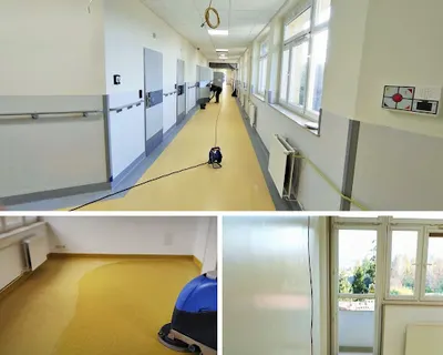 Firma Usługowa Nemo